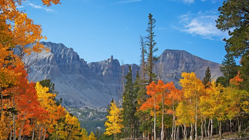 Hidden Vacation Spots in the USA You’ve Never Heard Of (2025)