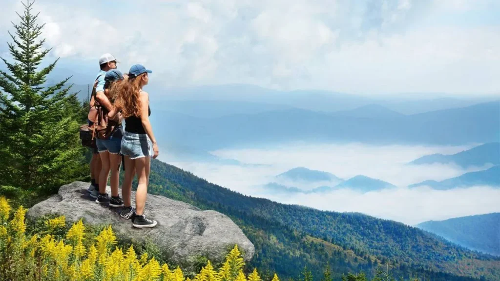 Eco-Friendly Travel Destinations in the USA for 2025